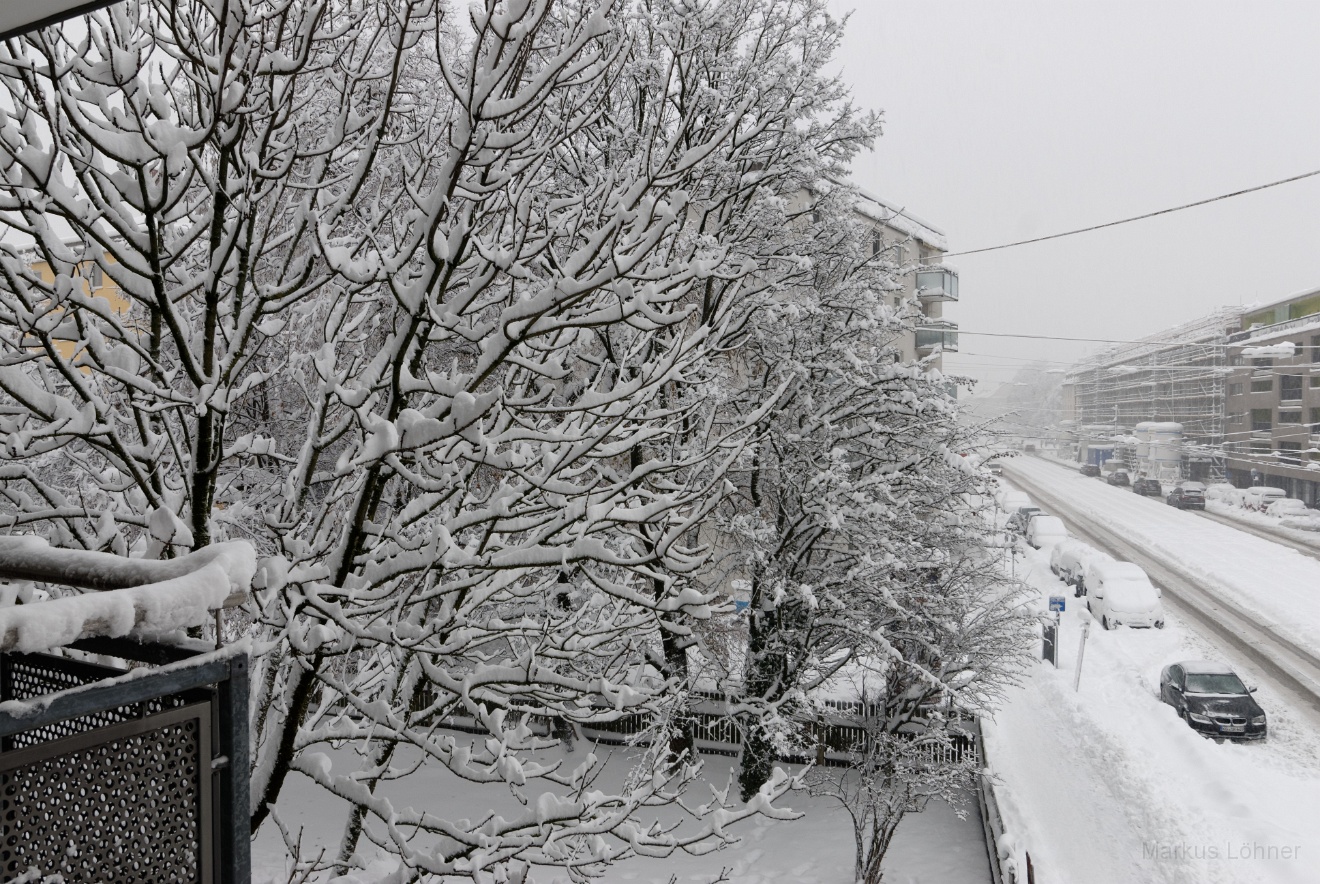 DSC_2750_dxo.jpg