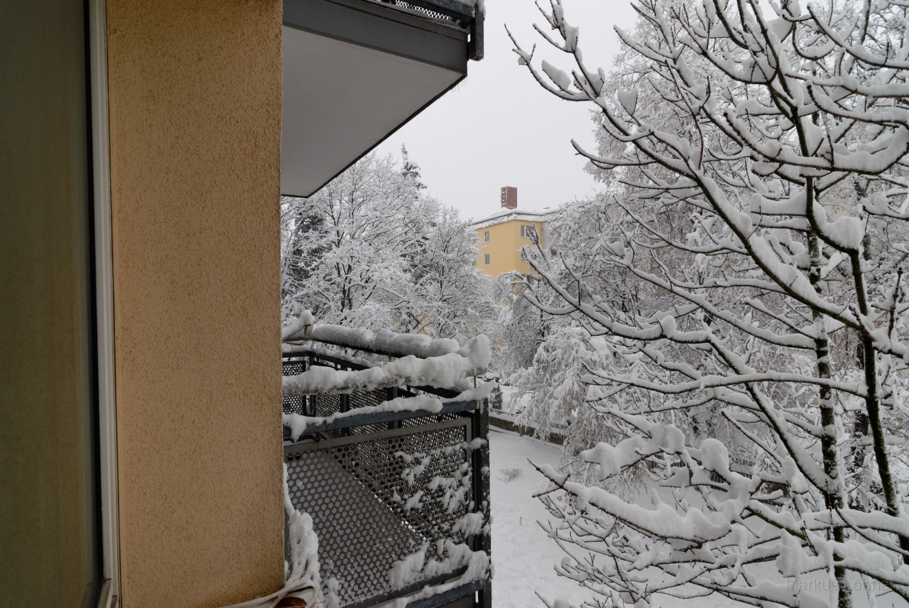 DSC_2754_dxo.jpg