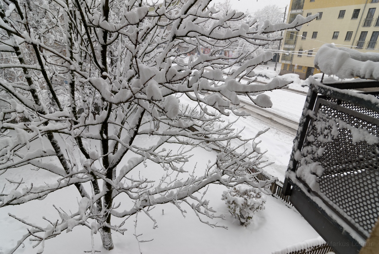 DSC_2757_dxo.jpg