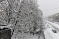 DSC_2750_dxo