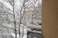 DSC_2758_dxo