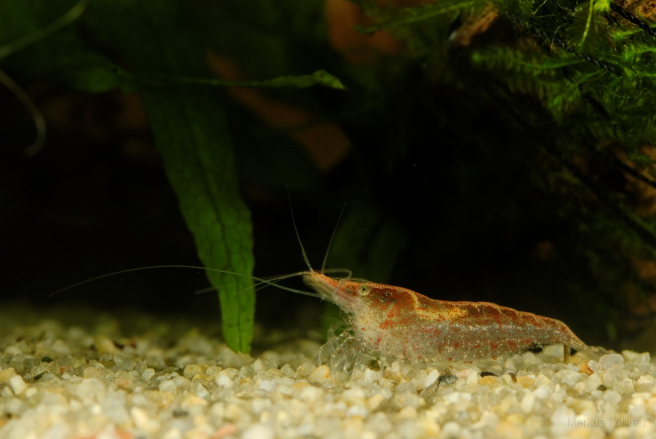 DSC_6830_orig.jpg