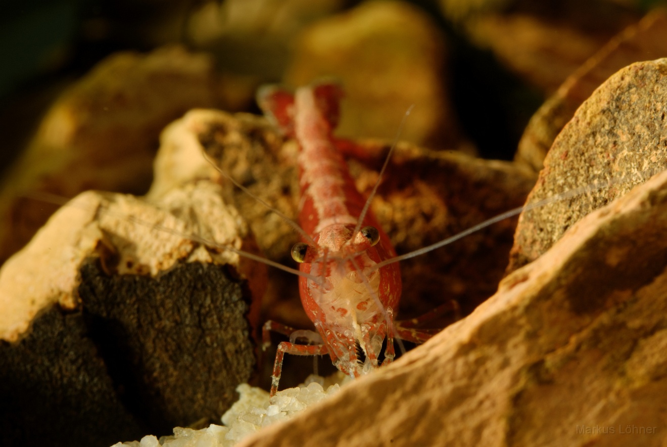 DSC_6843_orig.jpg