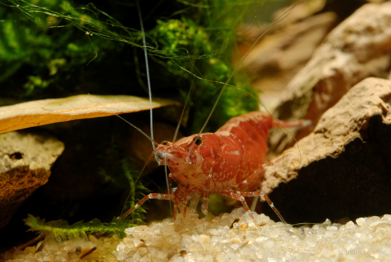 DSC_6889_orig.jpg
