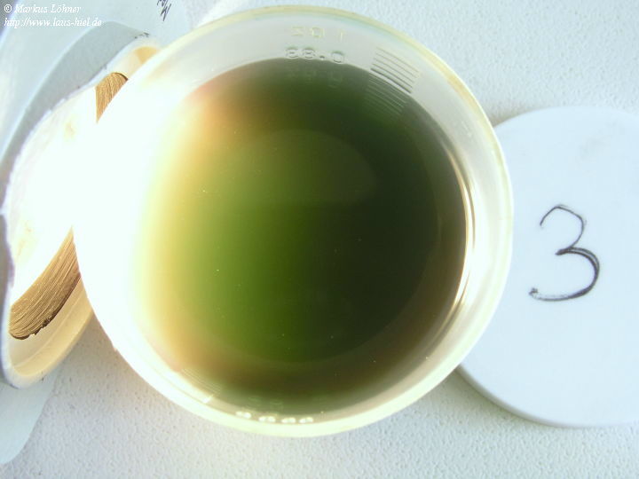 p31.jpg