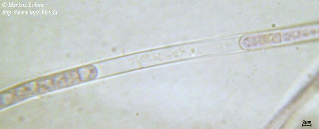 rd01c0106.jpg