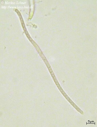 rd01c0205.jpg