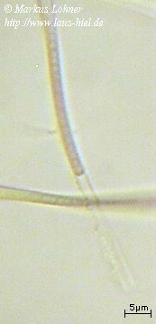 rd01c0206.jpg