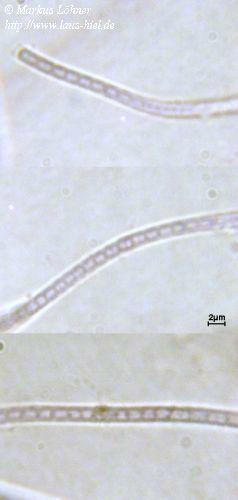 rd01c0208.jpg