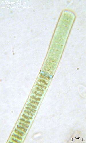 rd01c0306.jpg